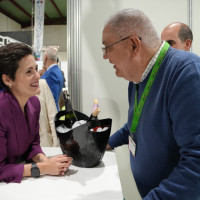 VINAC ALMENDRALEJO 1.jpg