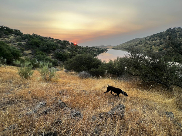 Imagen: La Diputación de Badajoz impulsa la recuperación de la caza menor con ayudas a sociedades locales de...