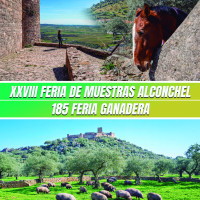 ALCONCHEL PROGRAMA.jpg