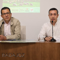 ALCONCHEL PROGRAMA.jpg