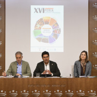 IMAGEN 1.jpg