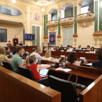 pleno 1.jpg