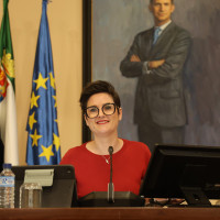 pleno 1.jpg
