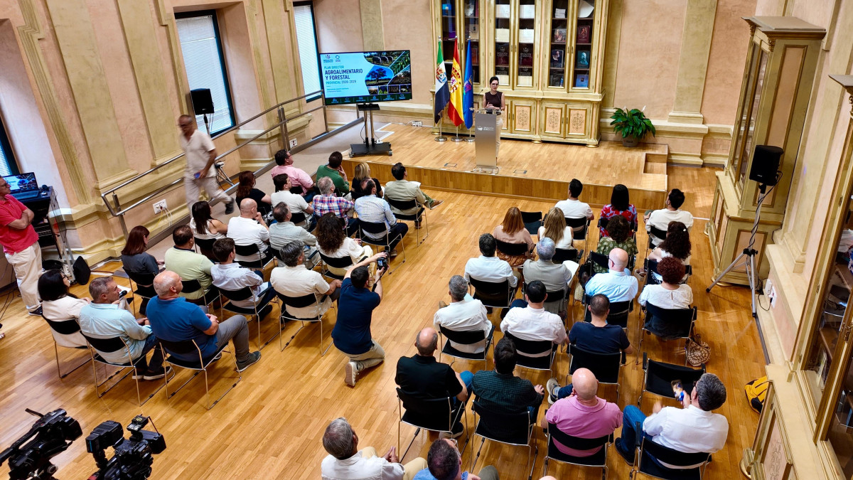 FOTO PLAN 1.jpg