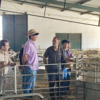 Imagen: La Diputación de Badajoz impulsa el intercambio agropecuario internacional con la visita de estudian...