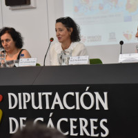 Imagen: La Diputación de Badajoz defiende el papel de las entidades locales en la gestión de los fondos euro...