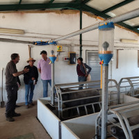 IMAGEN MEXICANOS COCOSA 1.jpg