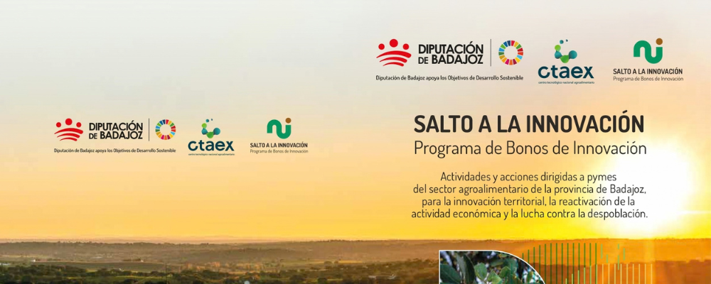 Imagen: 'SALTO A LA INNOVACIÓN. BONOS DE ASISTENCIA TECNOLÓGICA'