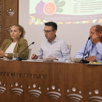 Torre de Miguel Sesmero consolida la Fiesta del Higo reforzando su valor gastronómico